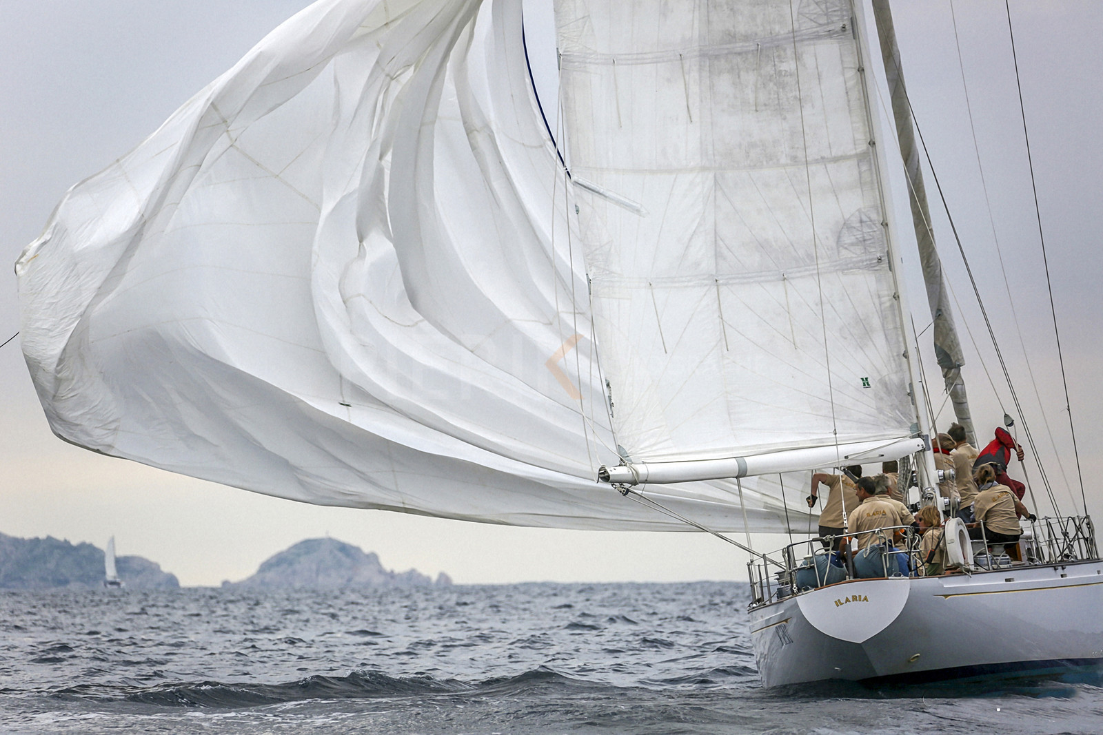 VireVire2014-204.jpg