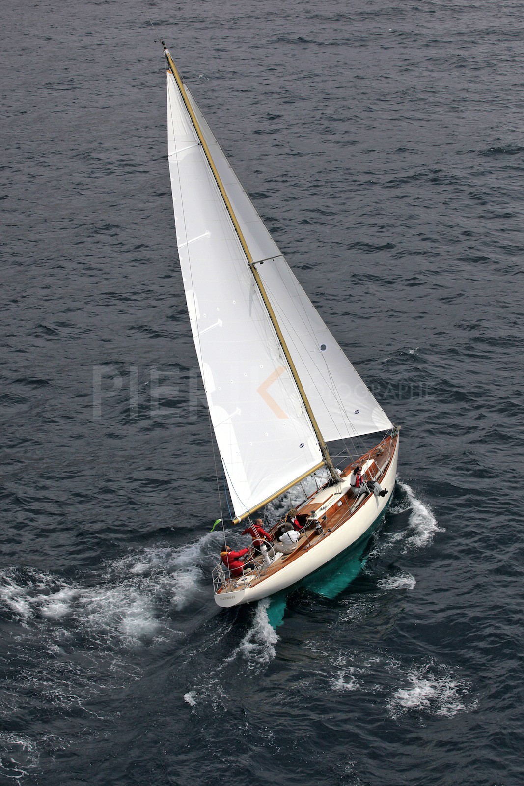 Palynodie II