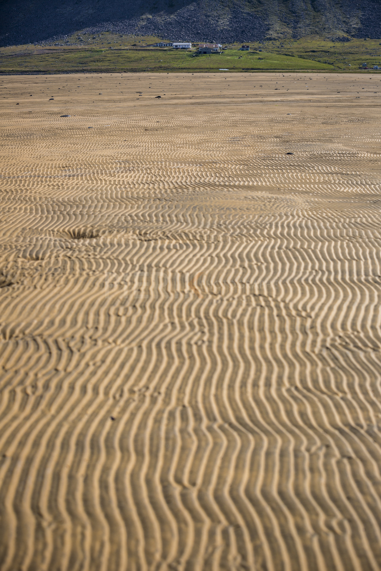 O60A8605.jpg