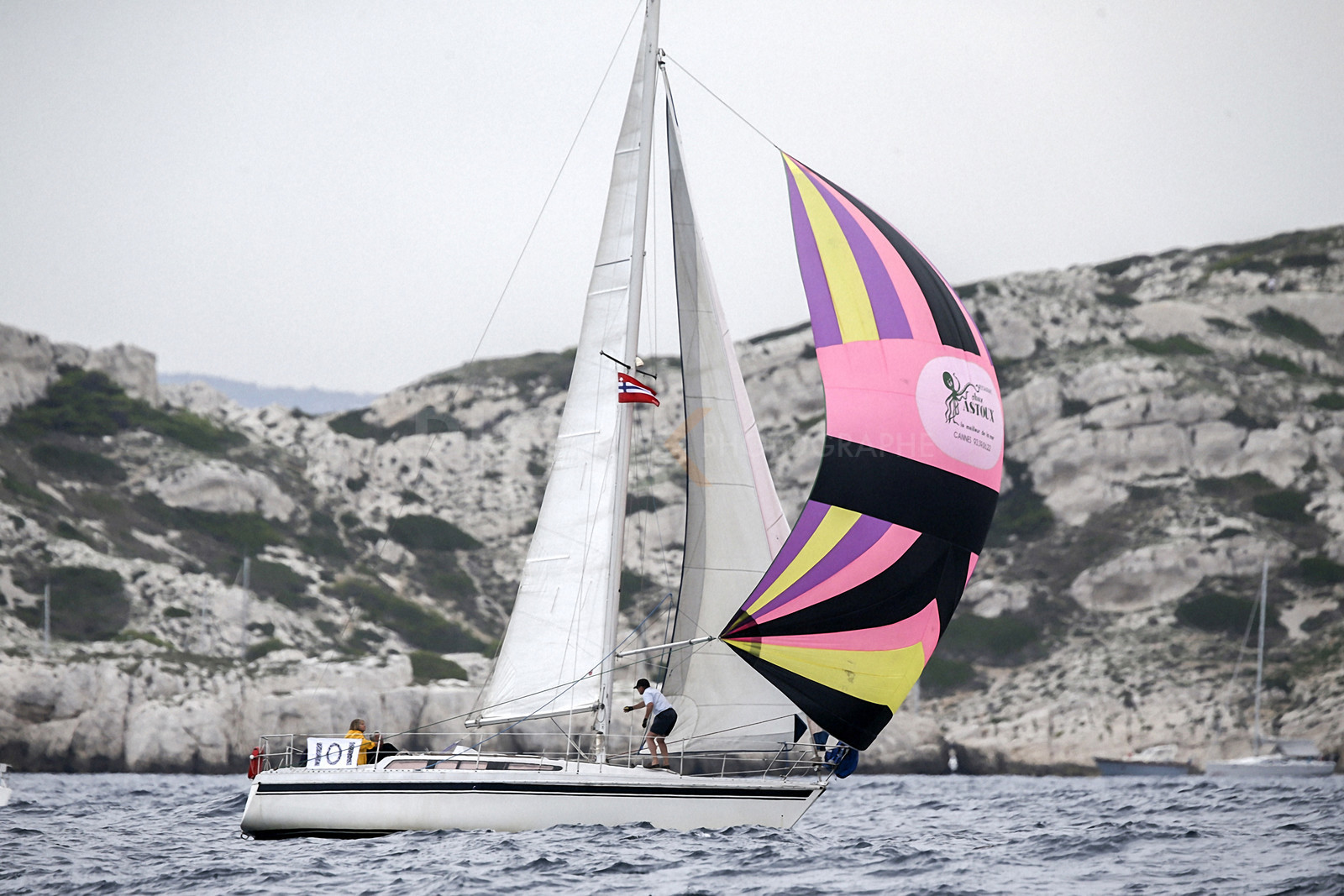VireVire2014-280.jpg