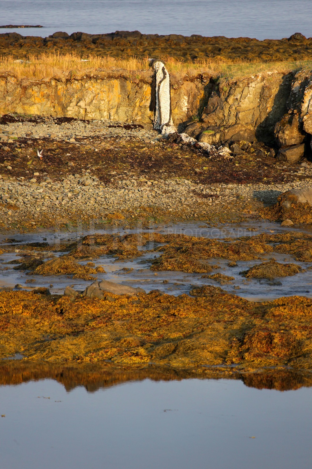Couleurs du soir, Flatey island