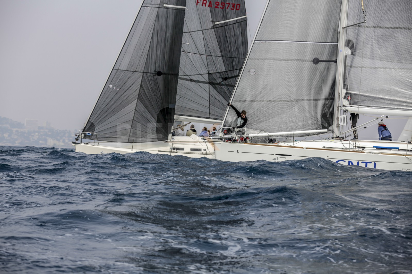 _L6A2516.jpg
