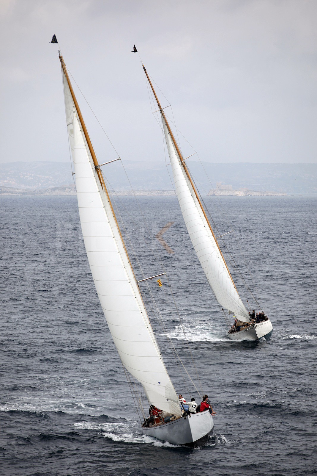The Blue Peter, White Dolphin