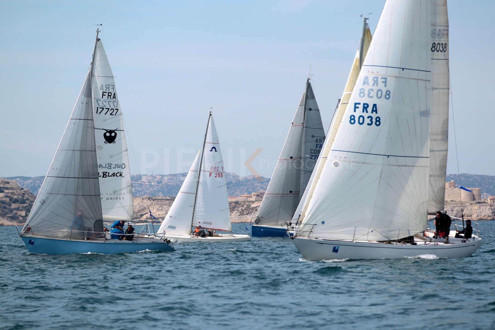 Bluesy owlblock devant Fantôme et Paggo