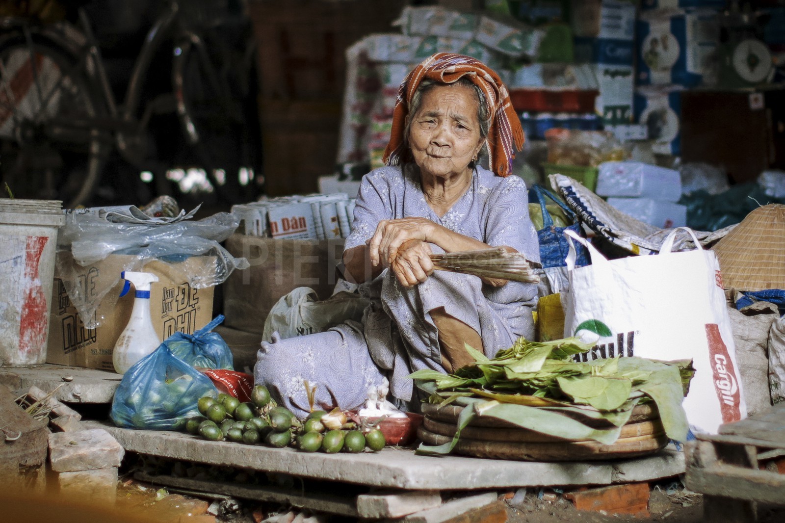 BenTre-15.jpg