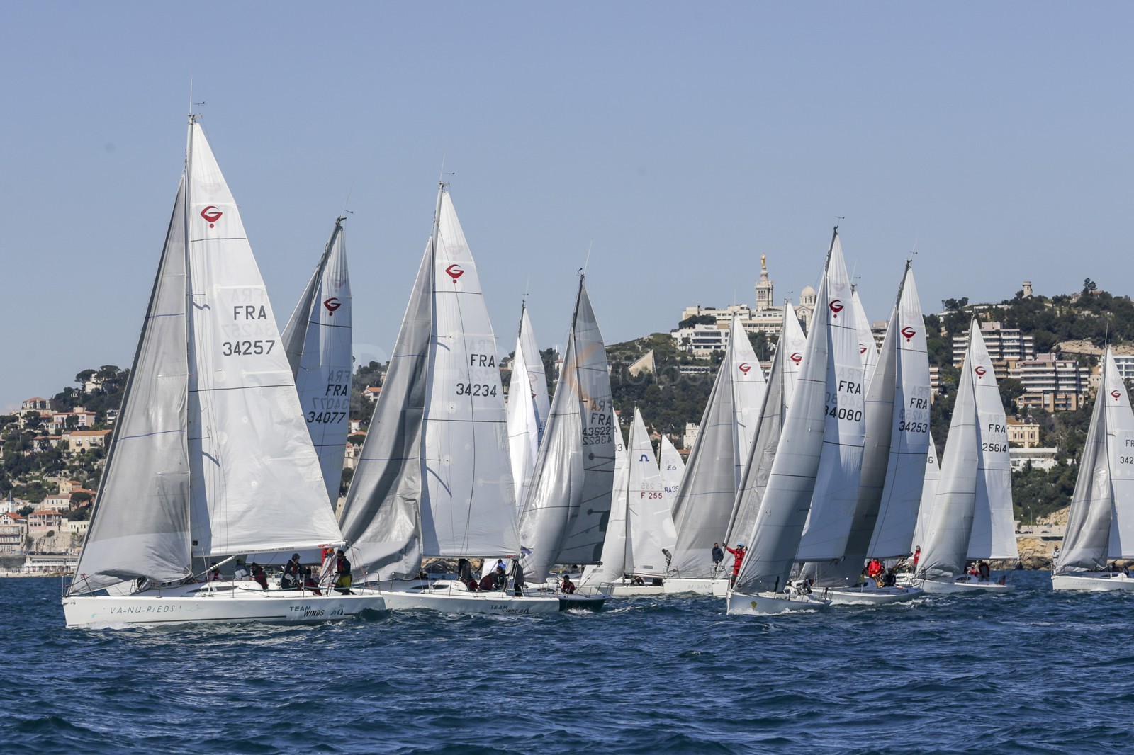 A29X1488.jpg